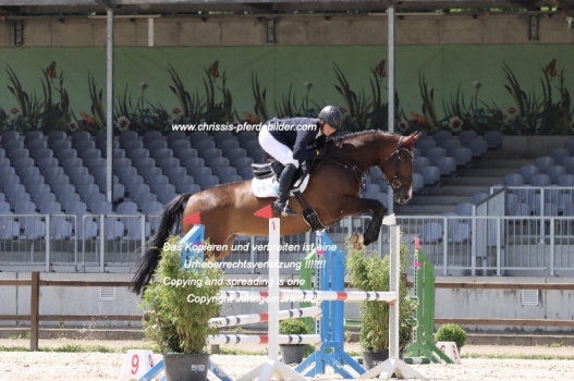 Preview nadine marzahl mit duke of dree boeken IMG_0016.jpg